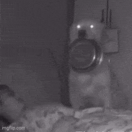 gifdump_4812_10.gif
