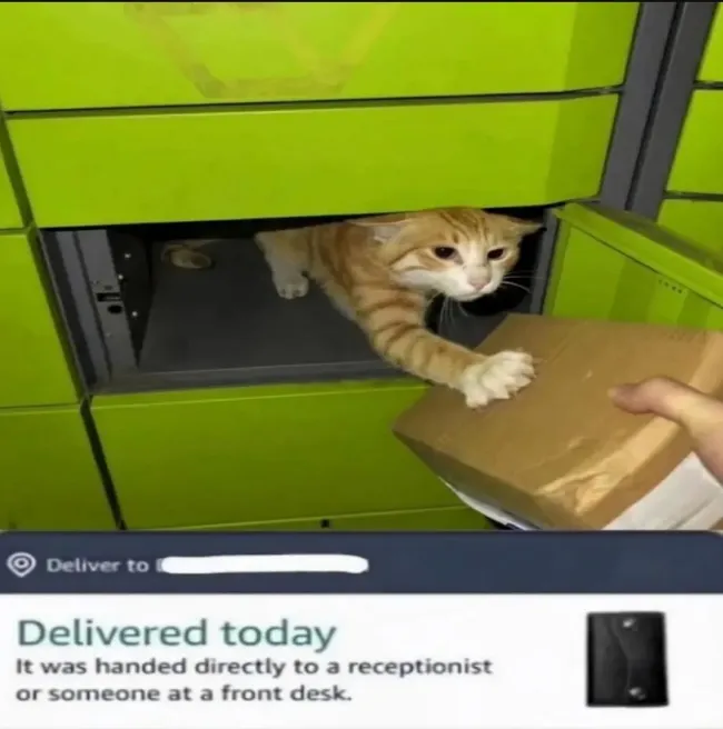 my-cute-little-monster-receptionist-v0-xplnc1hrbplh1.webp