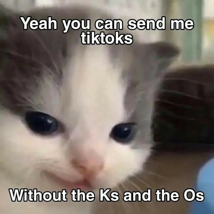 tiktoks.jpeg
