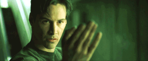 IMG_7247.gif