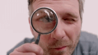 magnify.gif