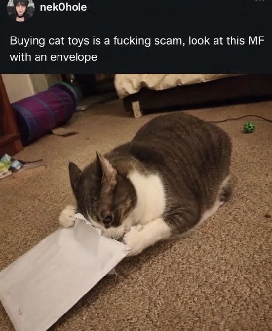 mmabc6.jpg