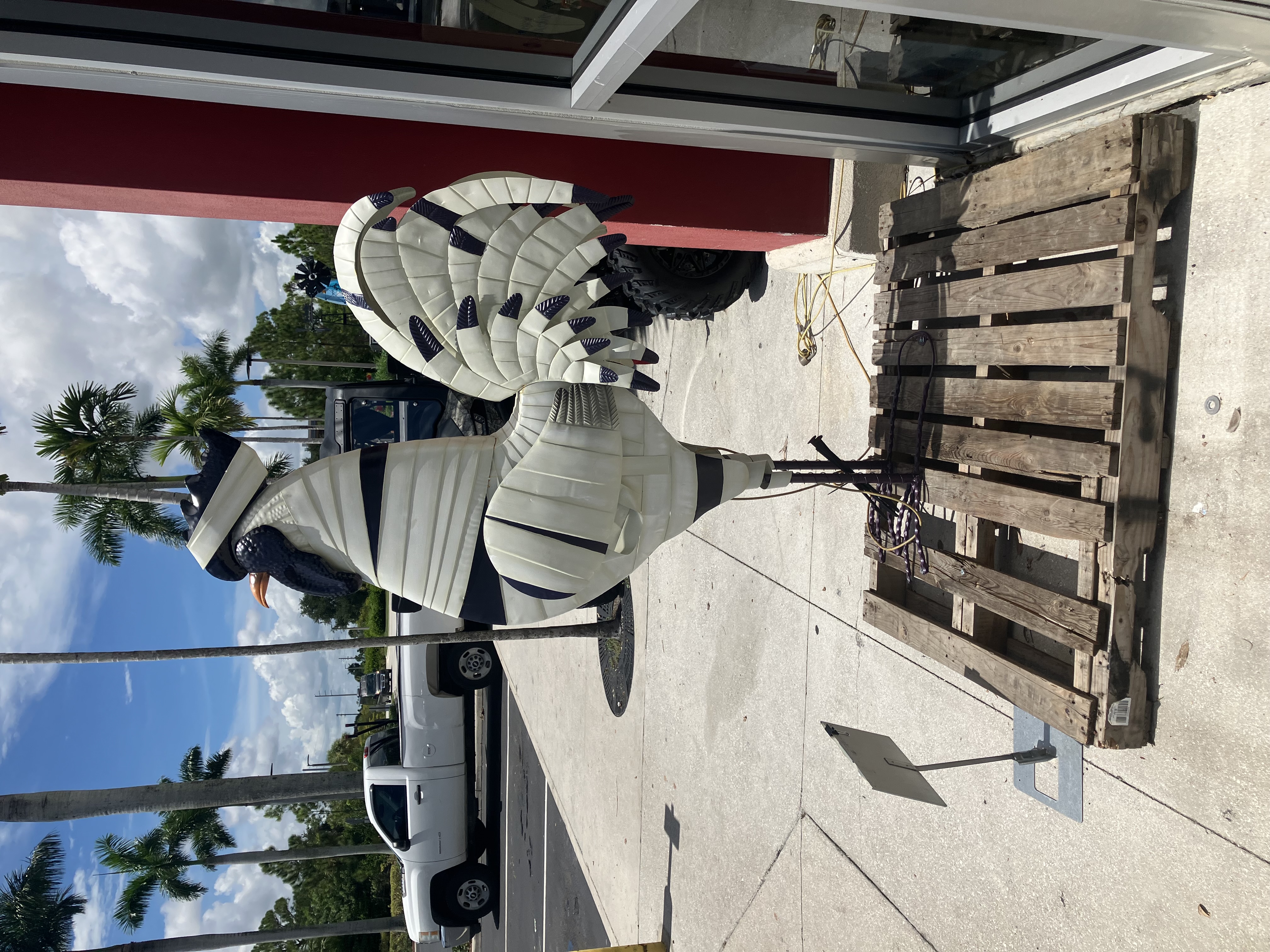 IMG_0509.jpeg