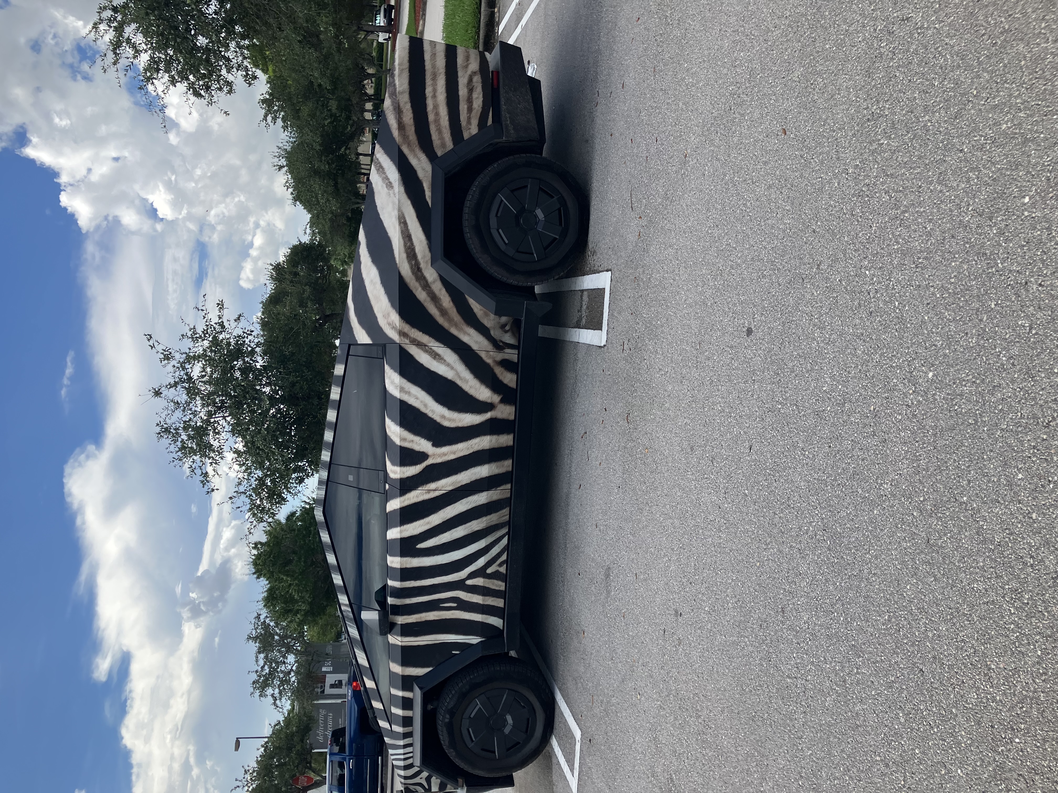 IMG_0512.jpeg