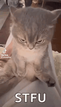 IMG_4067.gif