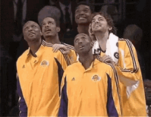 IMG_7284.gif