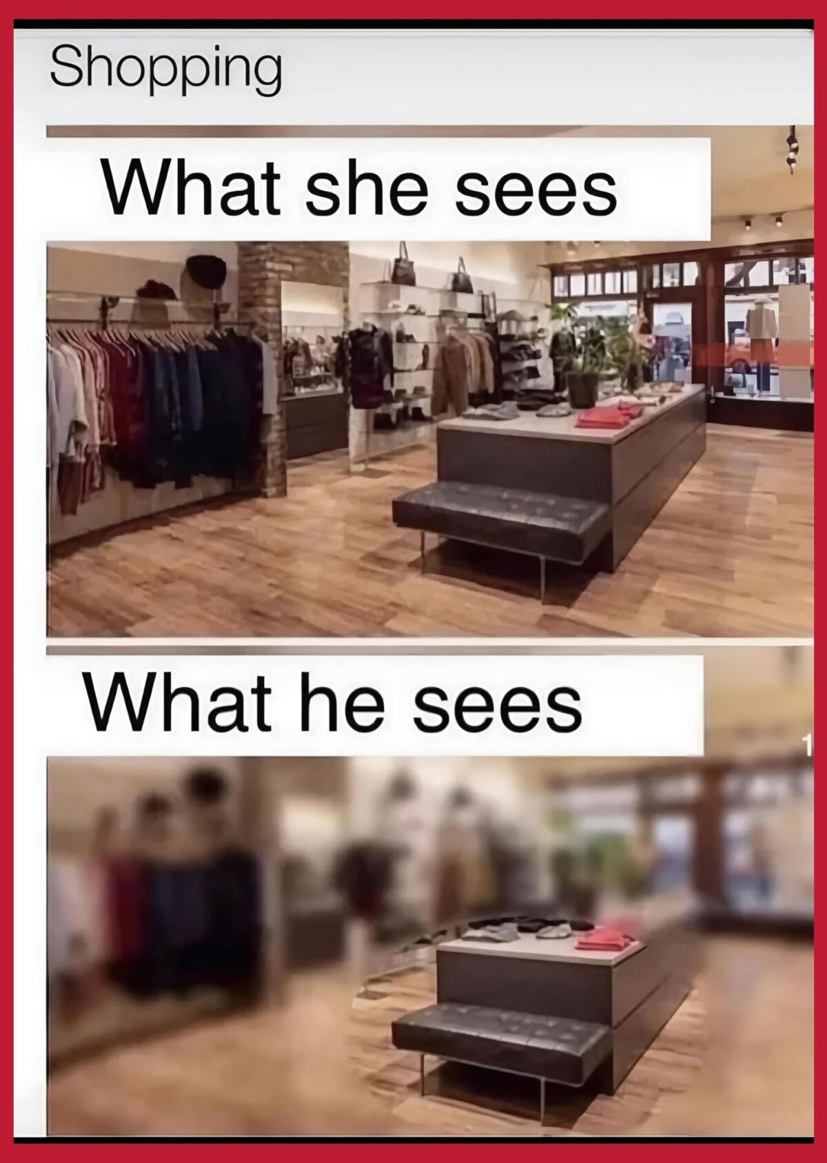she-sees.jpeg