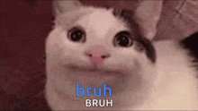 image.gif