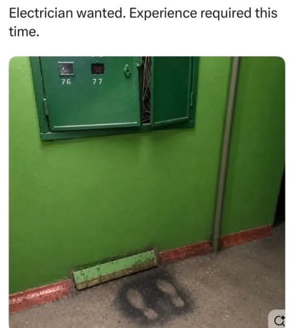chive23.jpg
