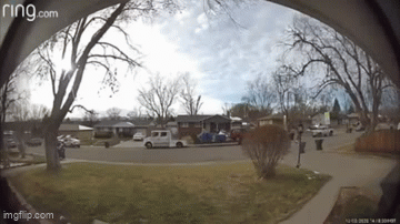 1000014969.gif