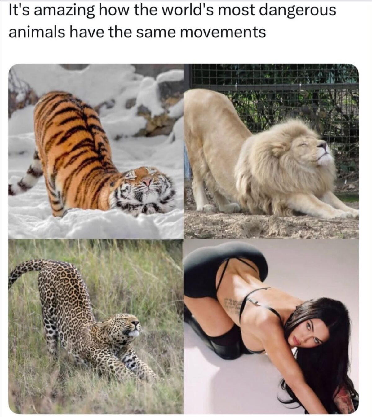 dangerous.jpeg