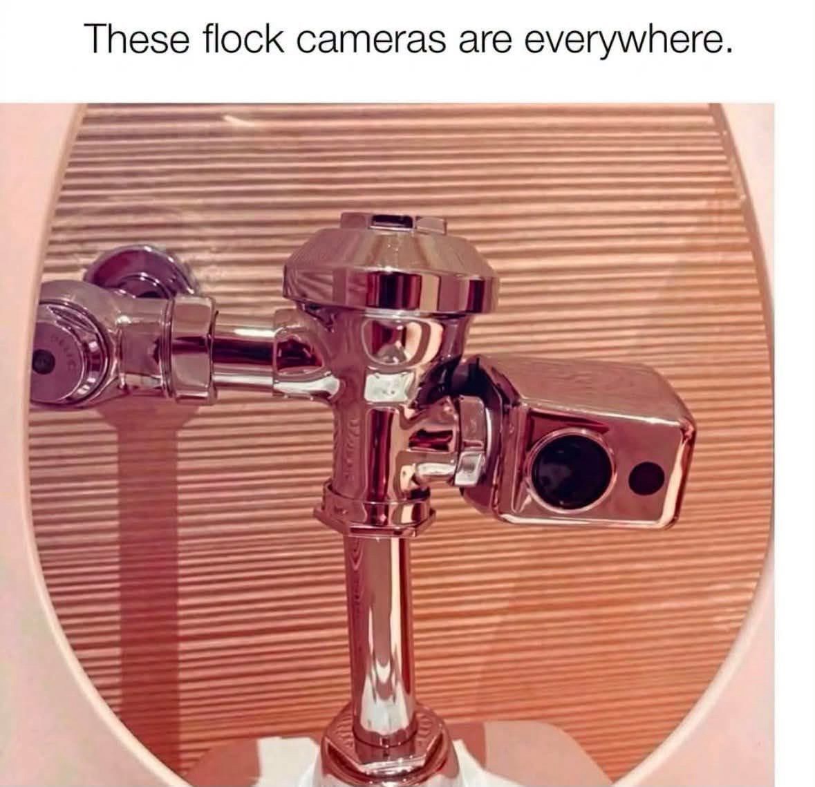 flock.jpeg