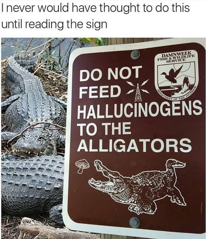 thought.jpeg