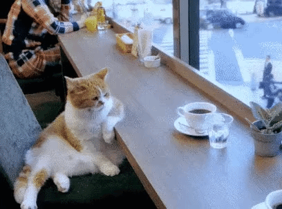 coffee.gif