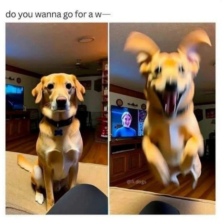 Go-walk.jpg