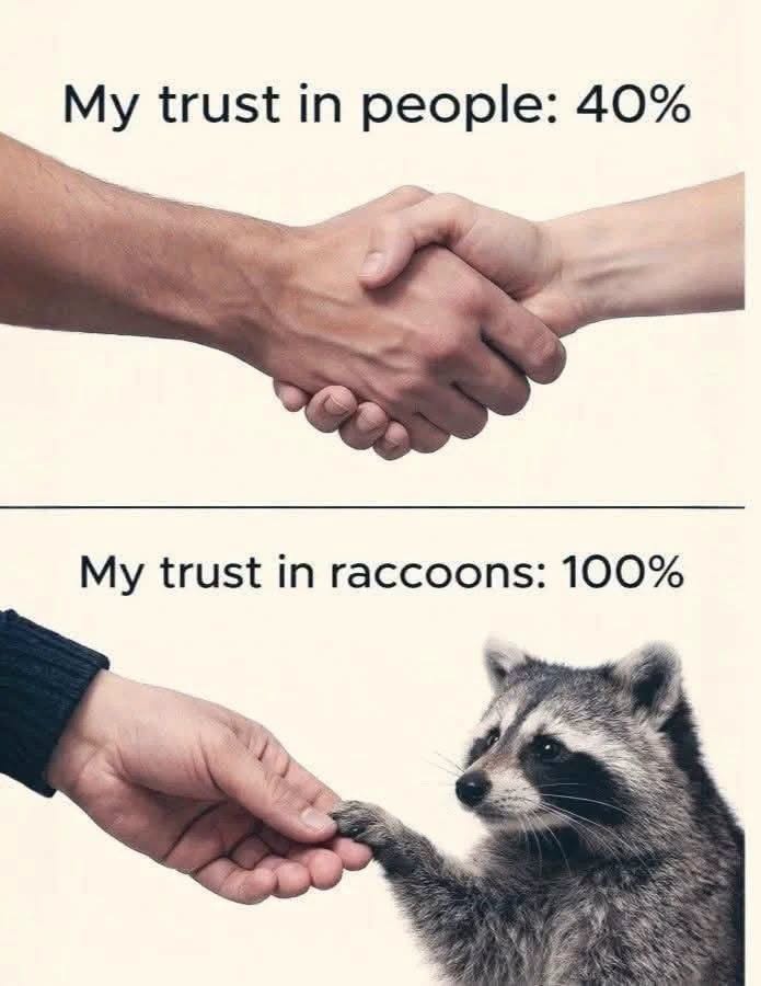 my-trust.jpeg