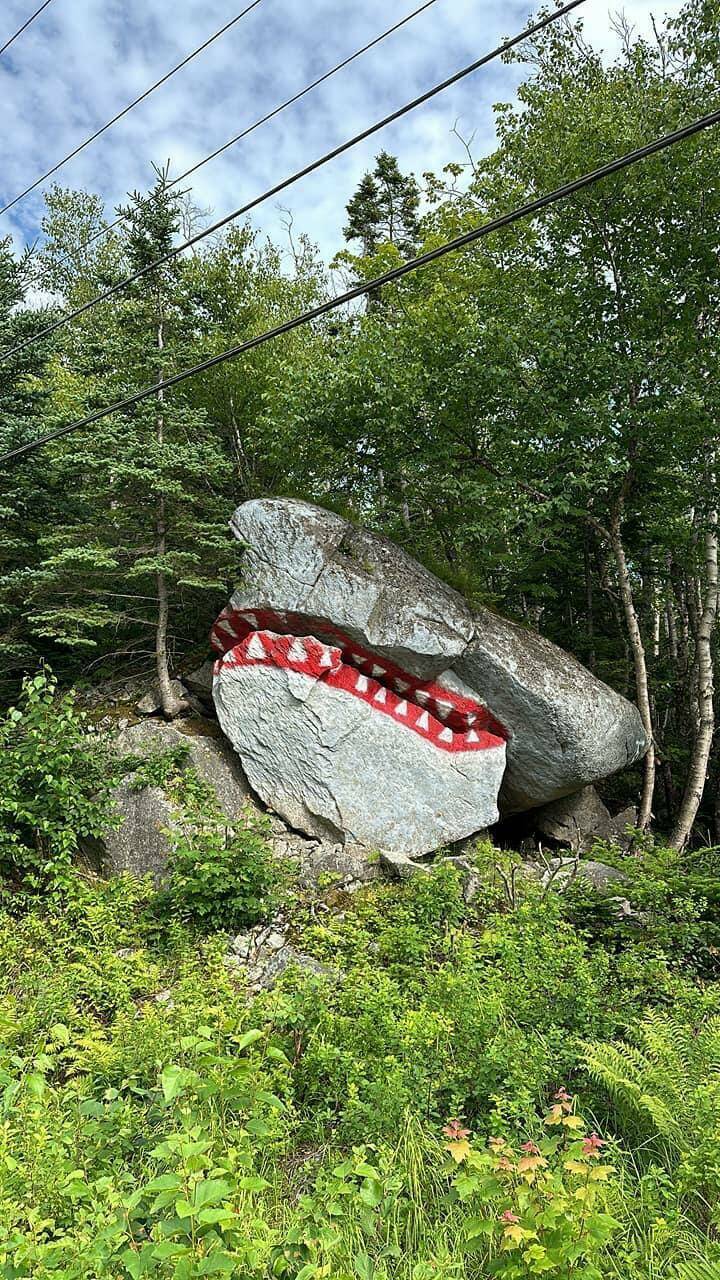 picdump_4029_48.jpg