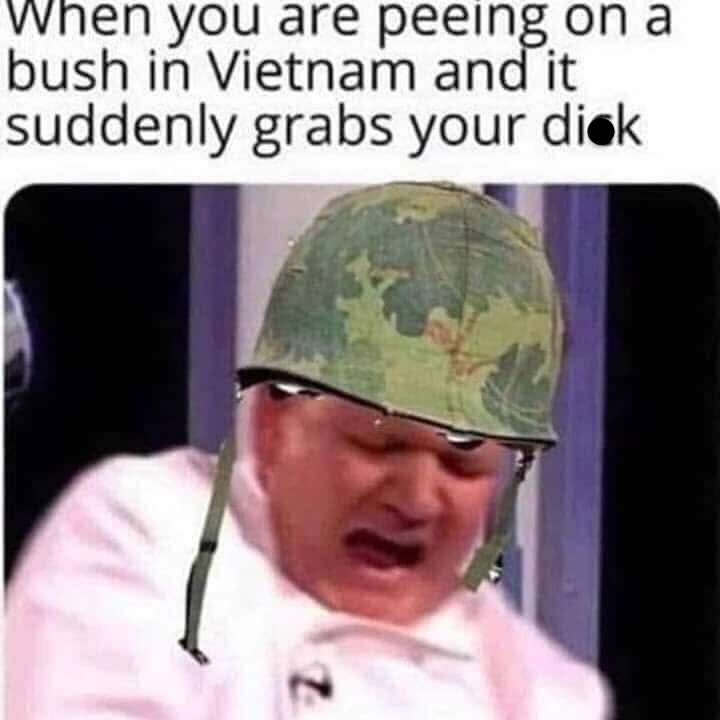 when-bush.jpeg