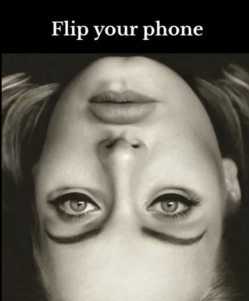 image.jpeg