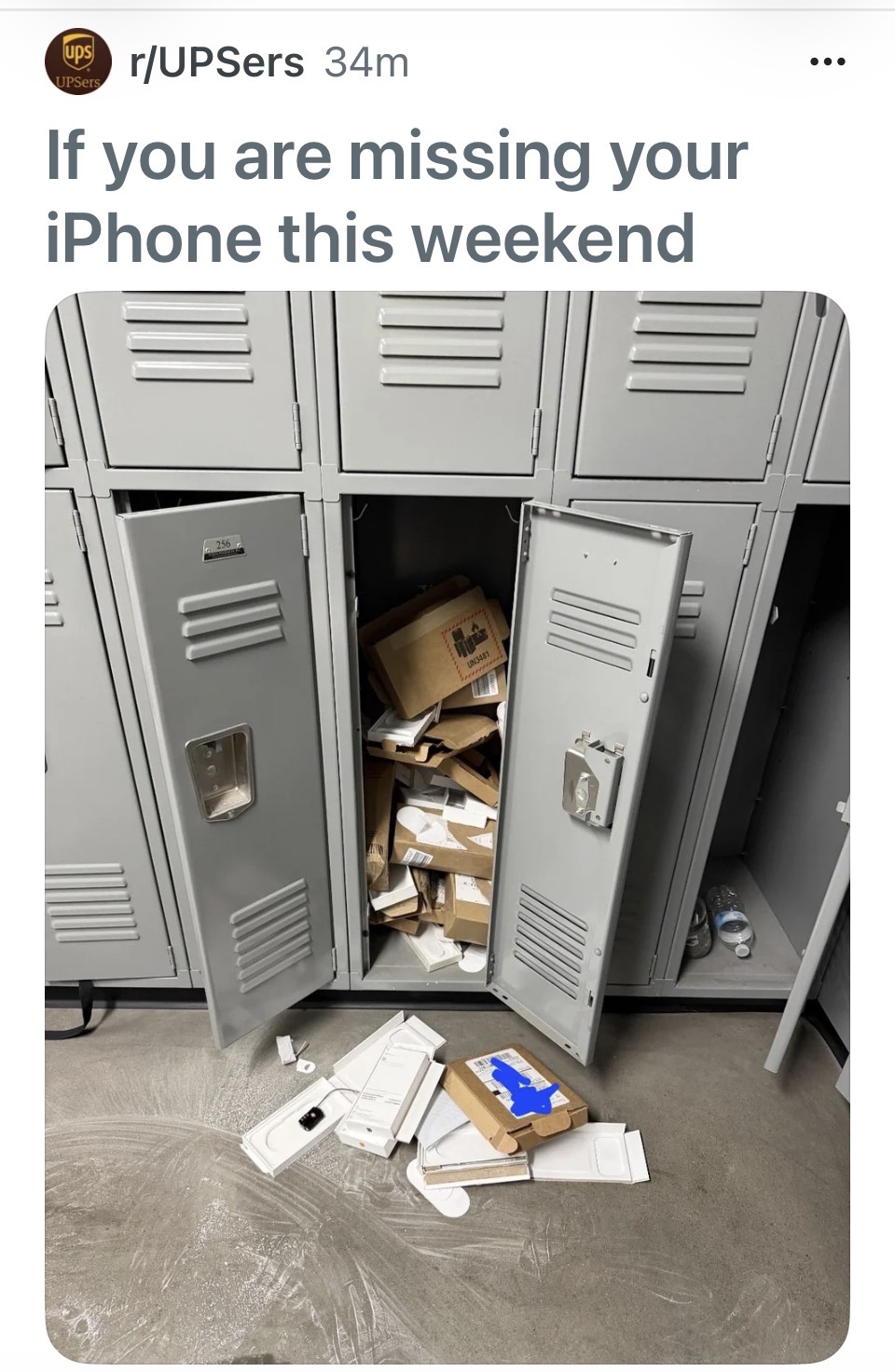 IMG_8937.jpeg
