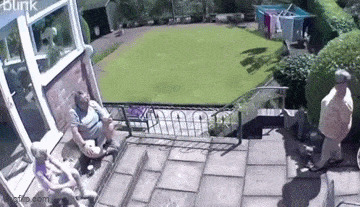 IMG_3711.gif