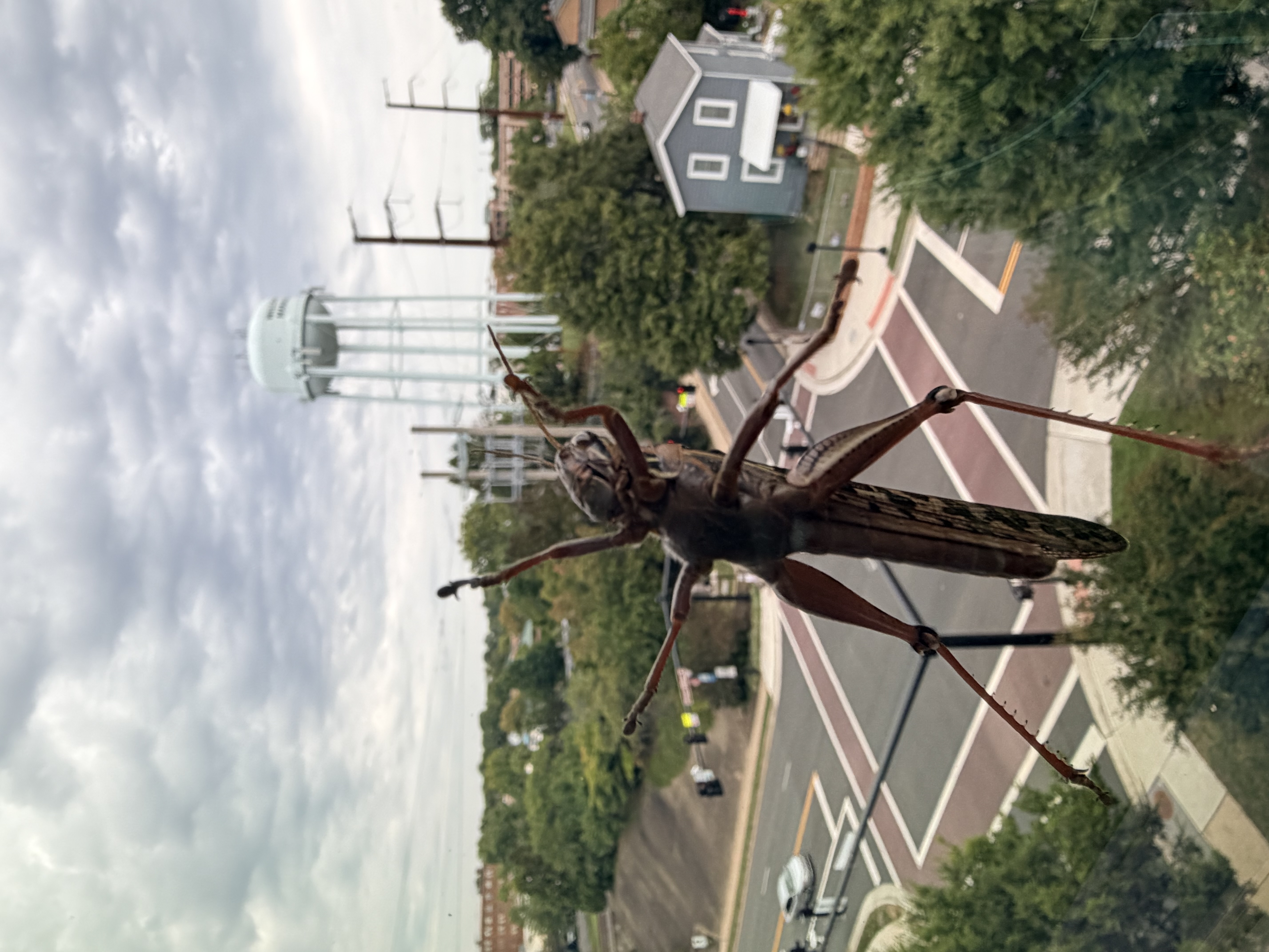 IMG_7414.jpeg