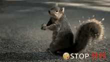image.gif