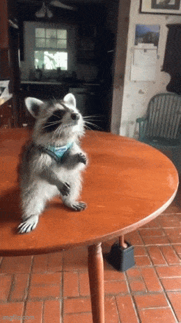 gifdump_4812_14.gif