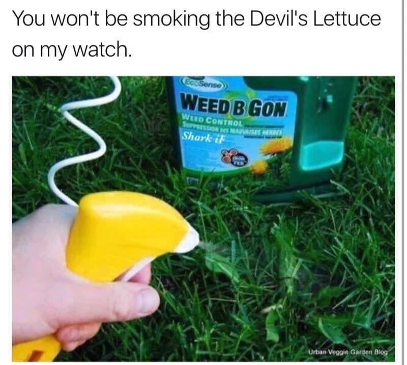 smoking.jpeg