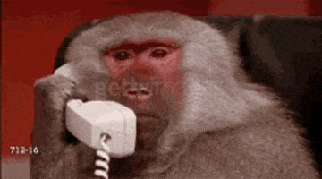 image.gif