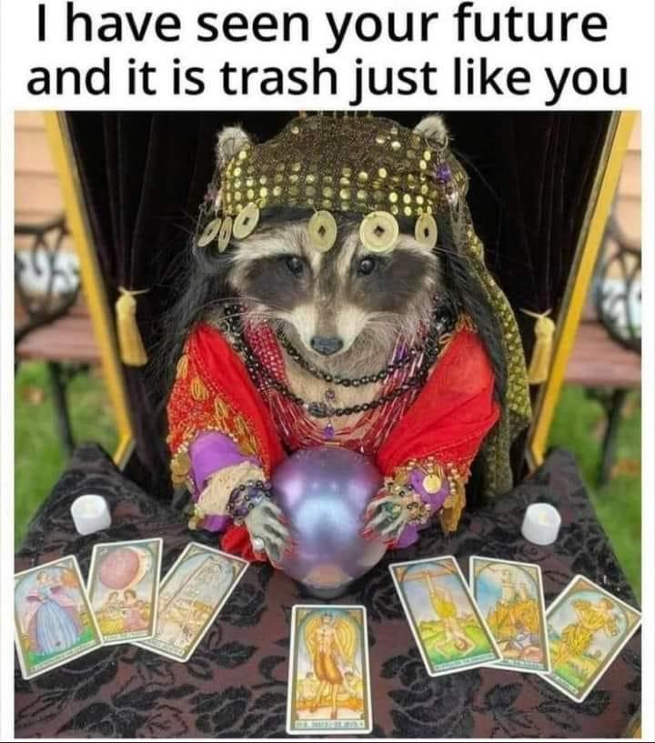 your-feature.jpeg