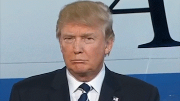 image.gif