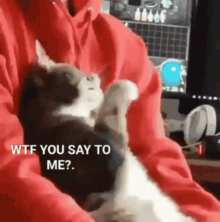IMG_4134.gif