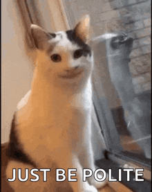 IMG_4135.gif