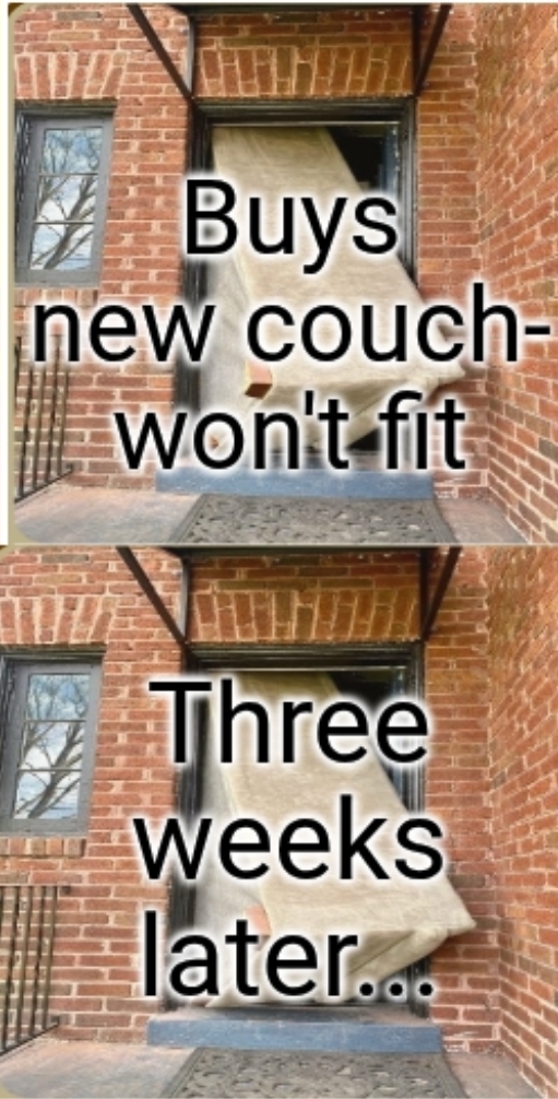 1000015069.jpg