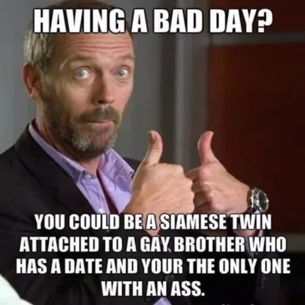 chive17.jpg