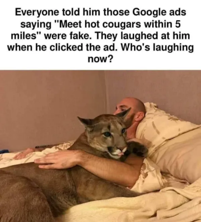 Cougars.png