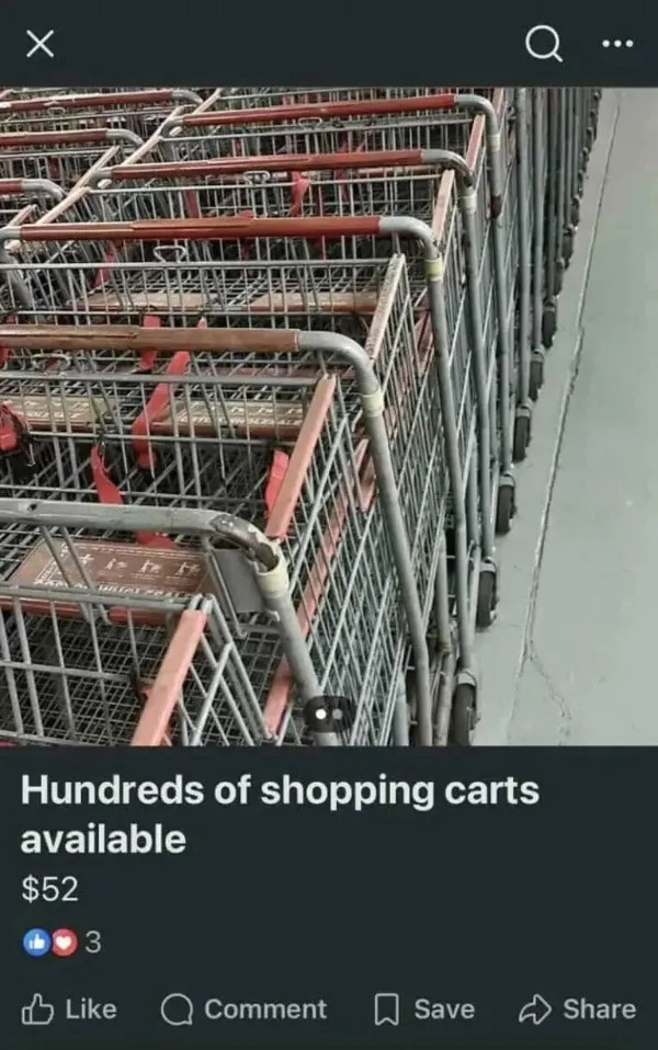 chive22.jpg