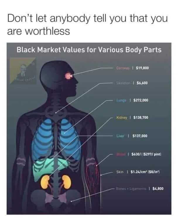anybody.jpeg