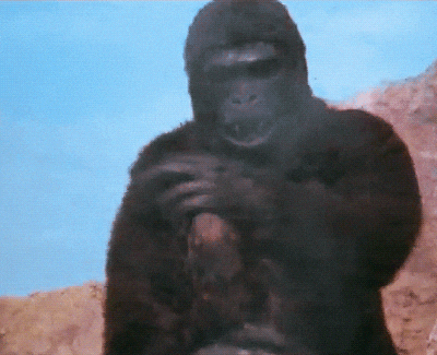 IMG_7542.gif