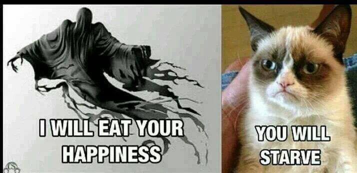 happiness.jpeg