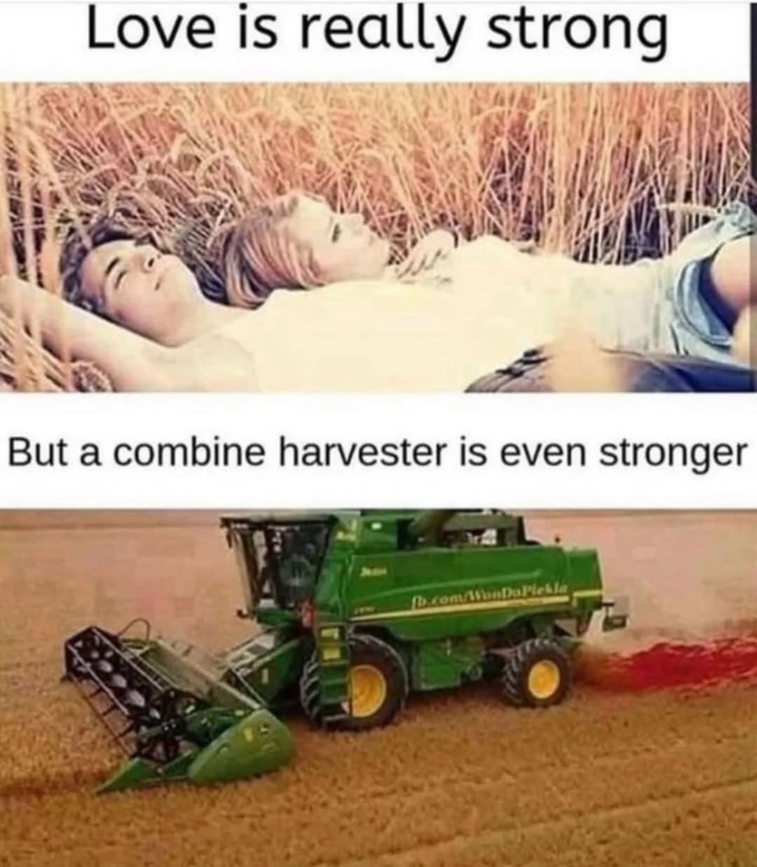 Love-is-really-strong.jpg