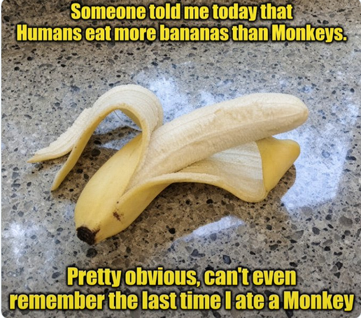 Monkey.png
