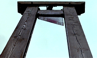IMG_8954.gif