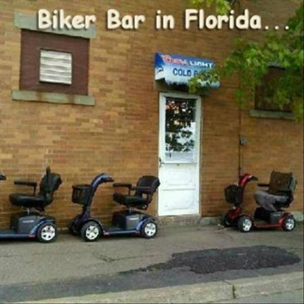 picdump_1013_25.jpg