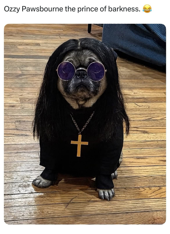 Pawbourne.png