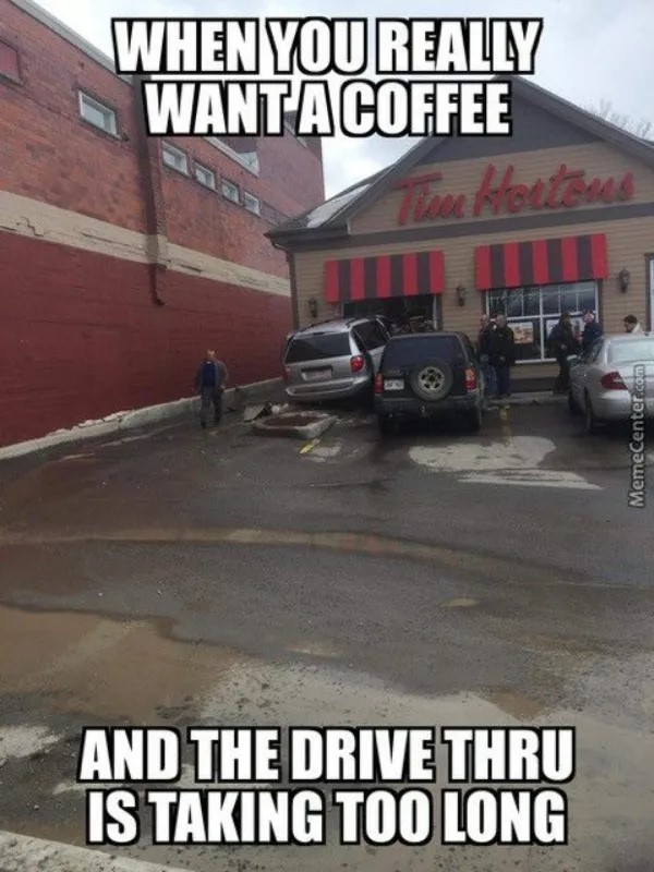chive13.jpg