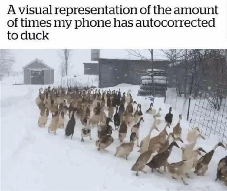 A-visual.jpeg
