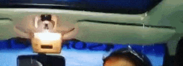 1000015164.gif