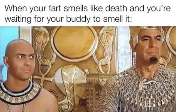 DMA_41.jpg